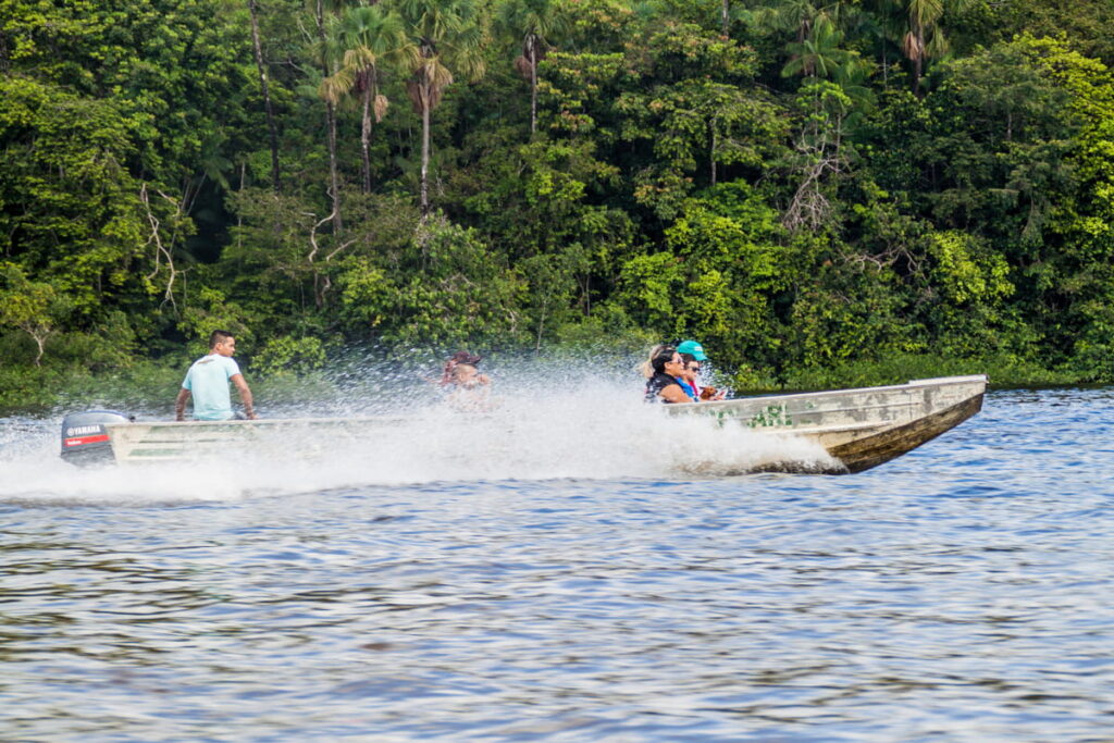 Les marais de Kaw, à explorer en pirogue au lever du jour