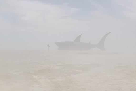 Retour de voyages : Burning Man 3 Un requin à l'horizon ? On voit de tout à Burning Man - Etats-Unis