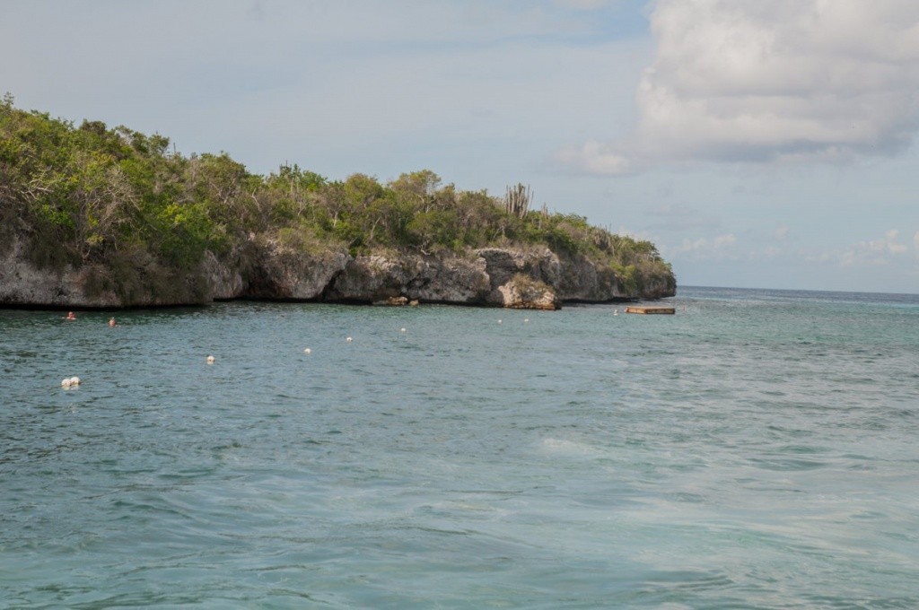 snorkeling île Catalina République Dominicaine — rochers et poissons