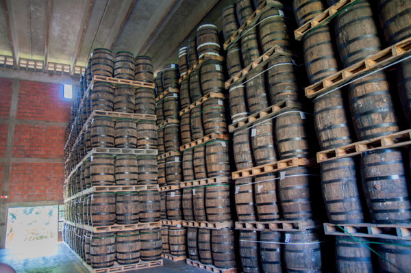 Vous prendrez bien un verre de rhum ? 7 Vous prendrez bien un verre de rhum ?