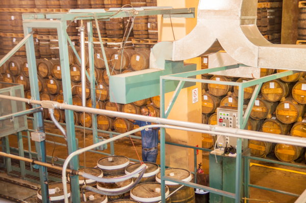 Vous prendrez bien un verre de rhum ? 11 L'alcool pur - canne à sucre...