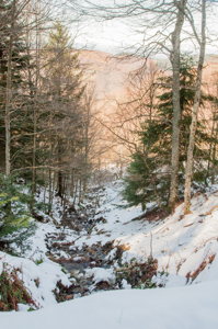 Randonnée facile pour faire le plein d'air frais 4 Ruisseau - chemin de neige