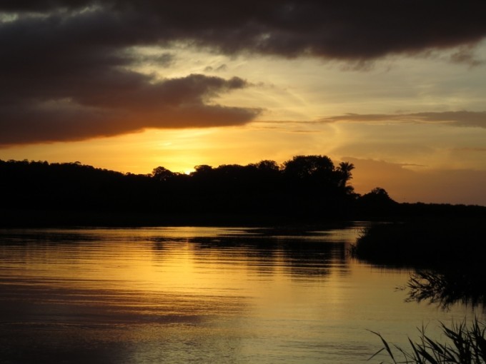 Marais de Kaw en Guyane, l’excursion en pirogue qui vous fait baisser la voix