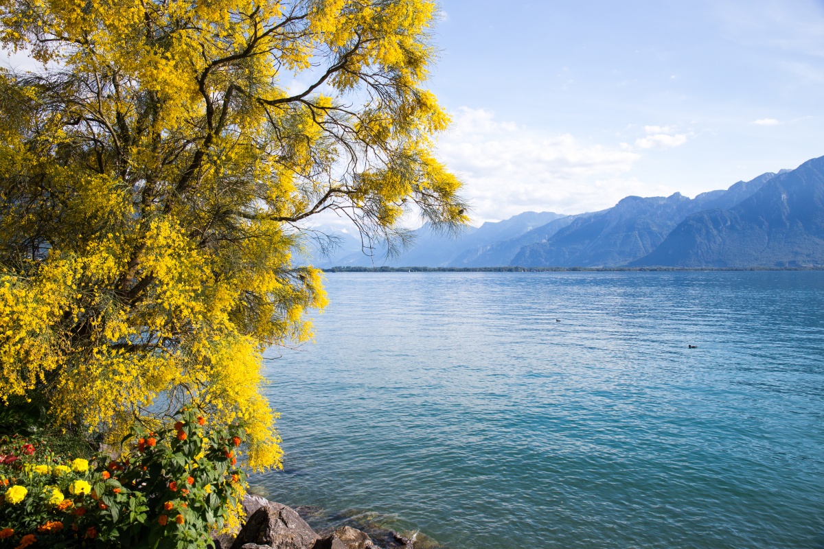 Prendre le temps à la Suisse 2 Prendre le temps - Suisse - Lac Leman