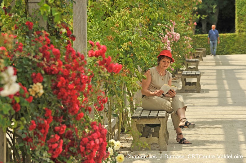 Jardins de roses… 4 Profiter du parfum - roses
