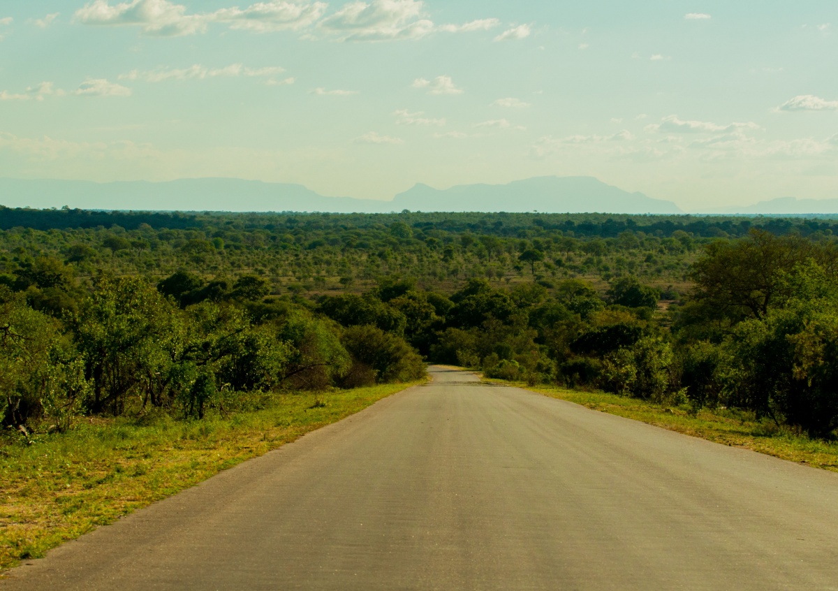 route - Parc Kruger Afrique du sud