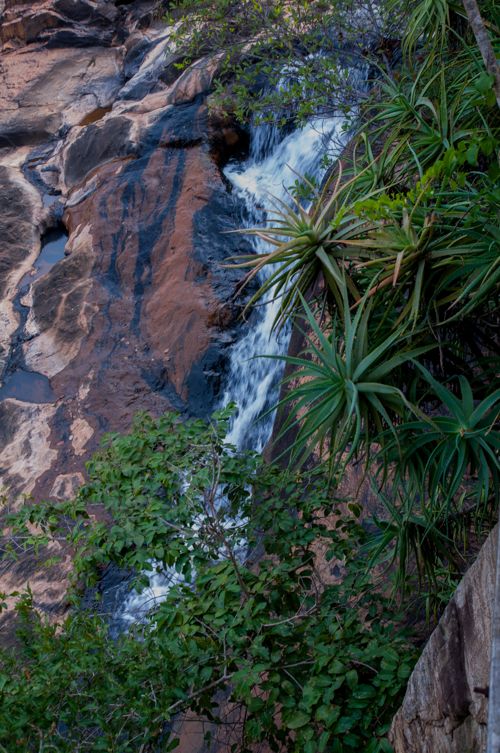 Voyage en Afrique du Sud, étape surprenante au Swaziland 2 Voyage Afrique du Sud - Persephone falls - Swaziland