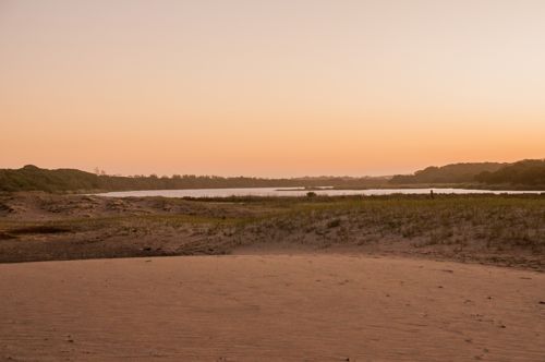 Zone humide de l'iSimangaliso Wetland Park près de St Lucia