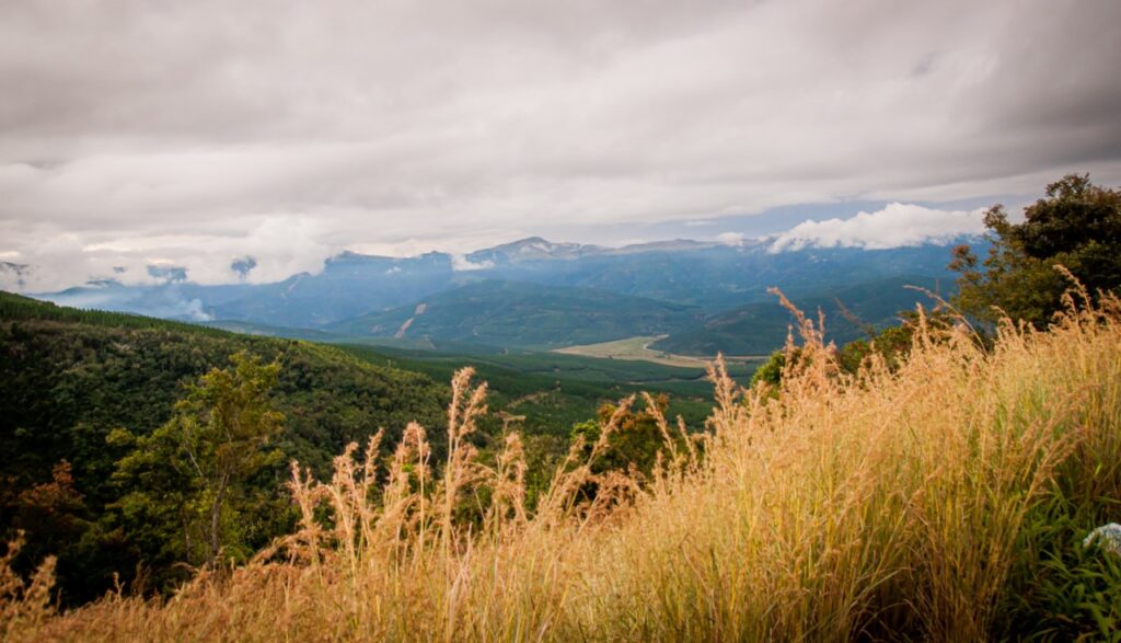 La région semble montagneuse