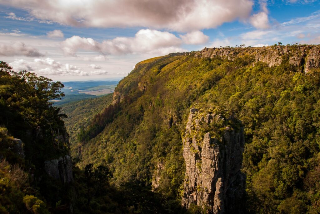 Des pitons rocheux émergent aux milieu d'une marée de verdure