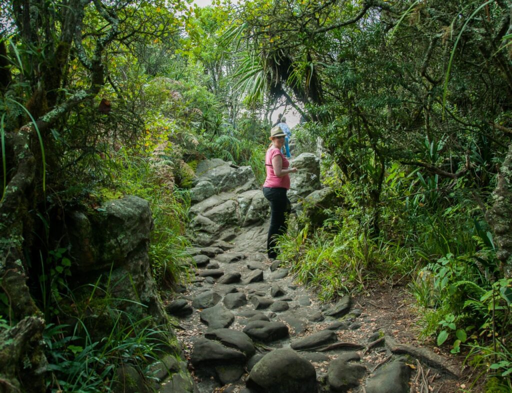 Un peu plus loin, nous empruntons un sentier dans une végétation luxuriante