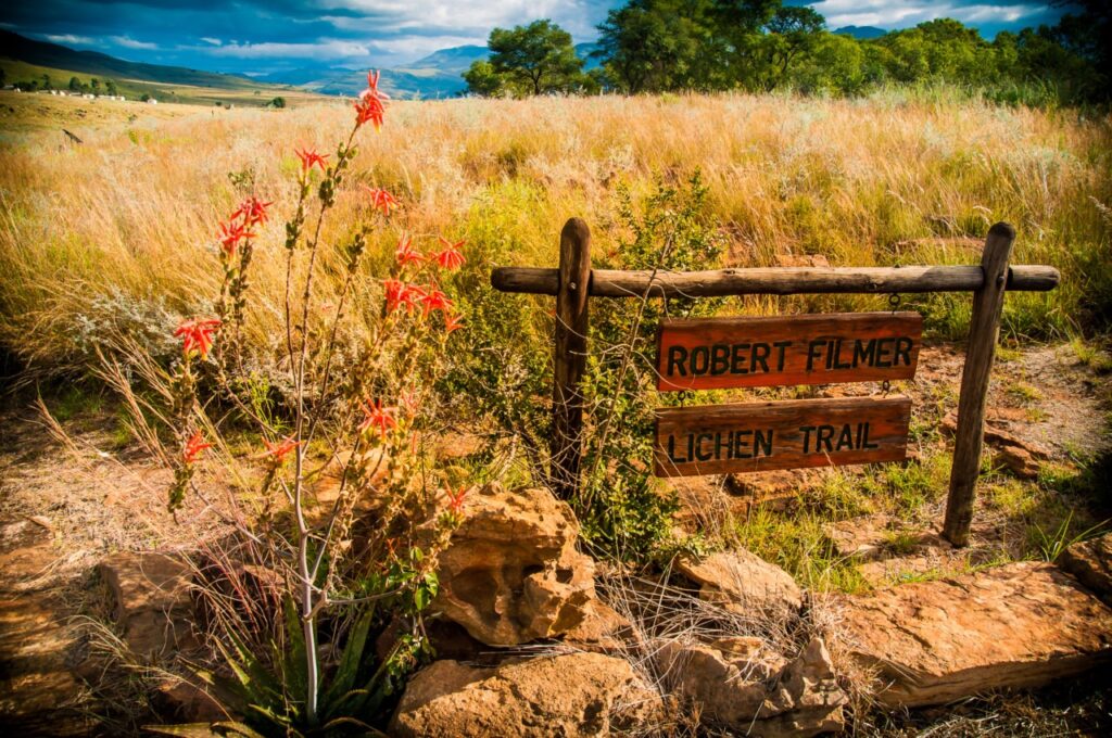 On reprend la route pour rejoindre la vue légendaire de l'Afrique du Sud