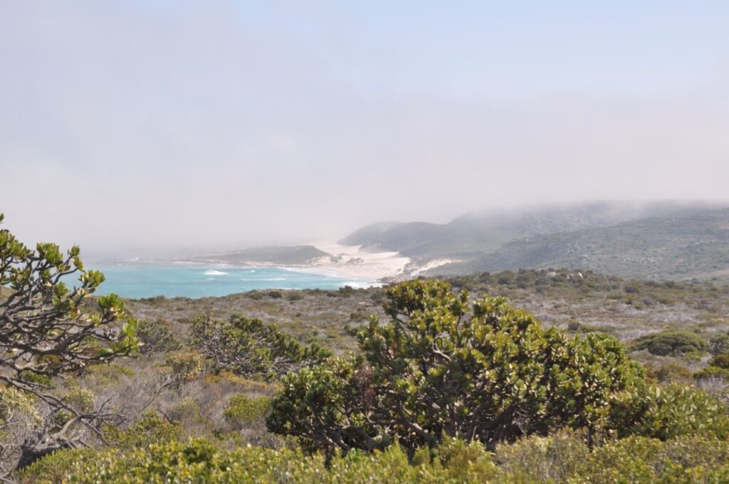 Le lieu est en pleine nature mais attention, il y a souvent un brouillard épais qui se dépose à Cape Town