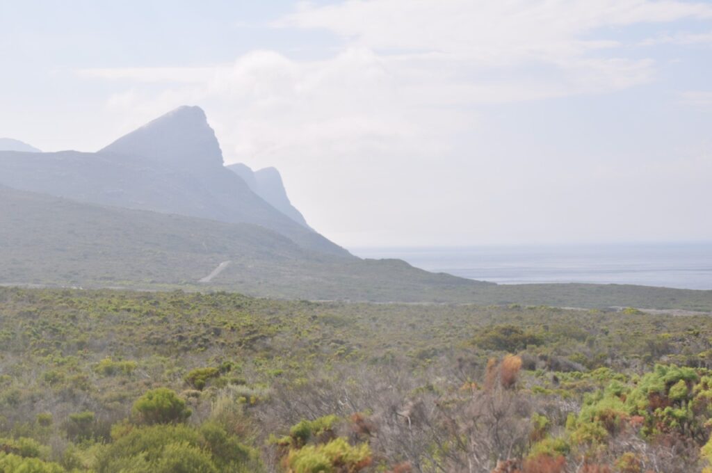 Cape Point vaut le détour