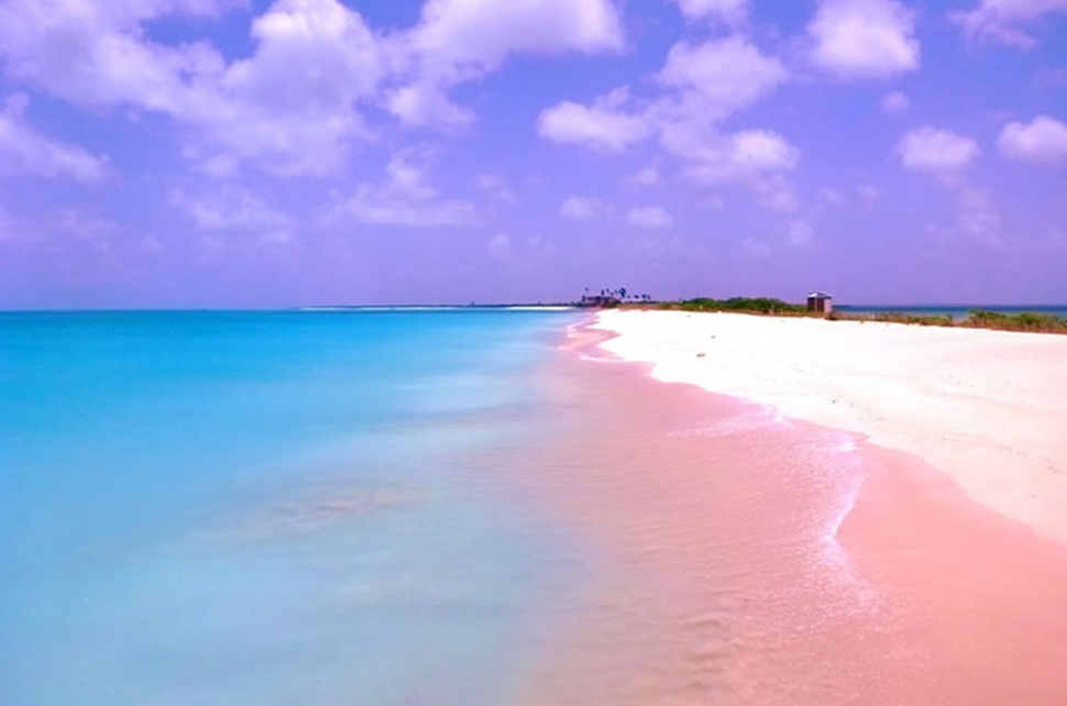 Voyage aux Bahamas, escale à Harbour Island 3 Plage sublime - Harbour Island - Bahamas