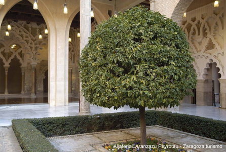 Le palais de la Aljaferia à Saragosse Le palais de la Aljaferia - Saragosse