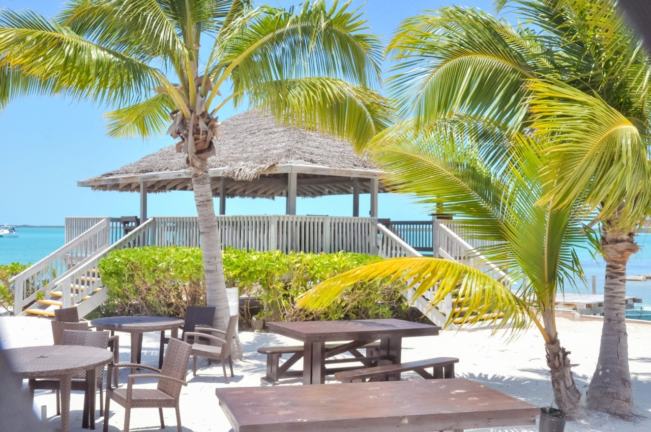 Daddy Joe's Restaurant plage Daddy Joe's Restaurant plage