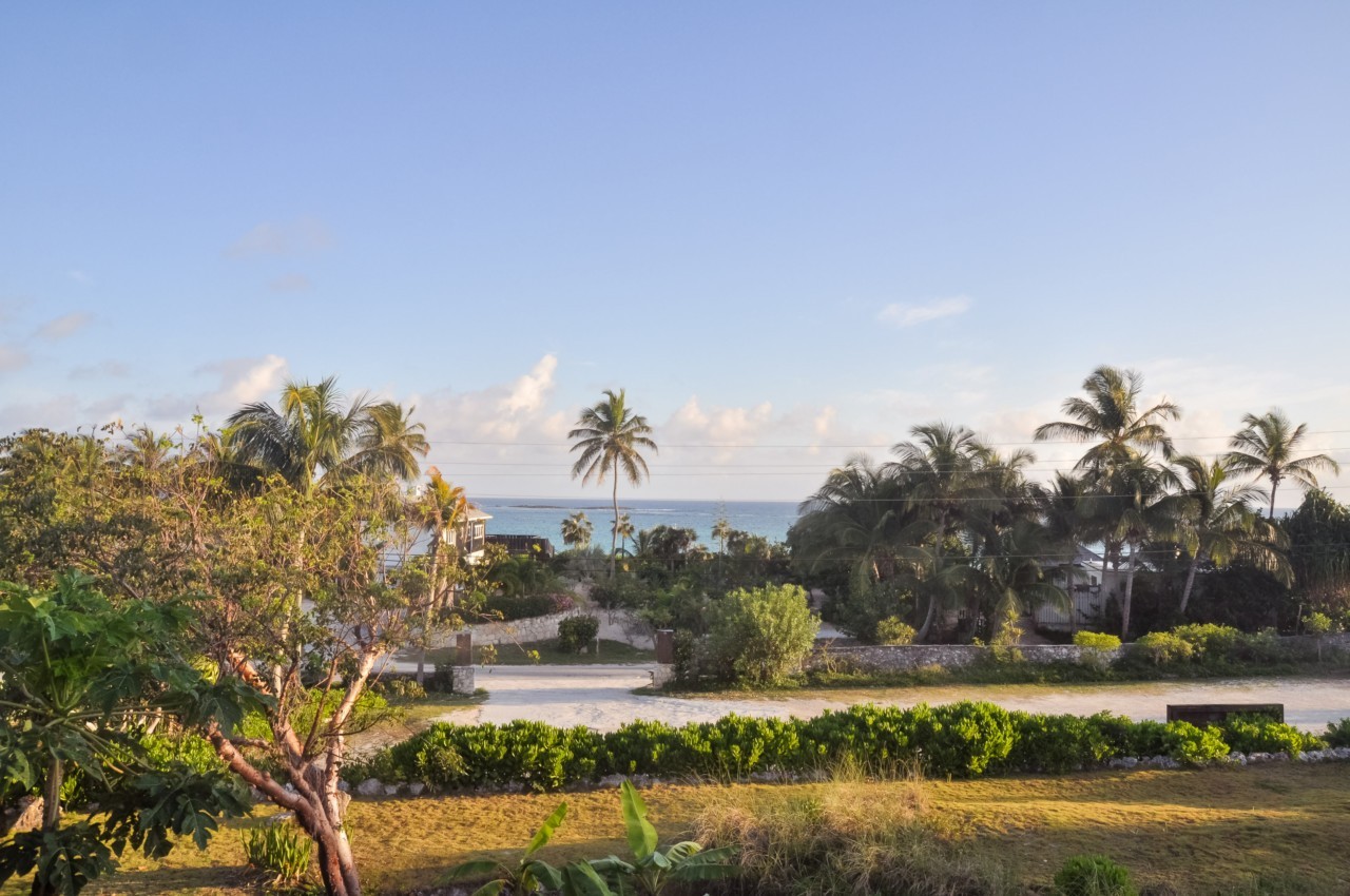 La vue panoramique depuis ma terrasse du Pineapple Fields
