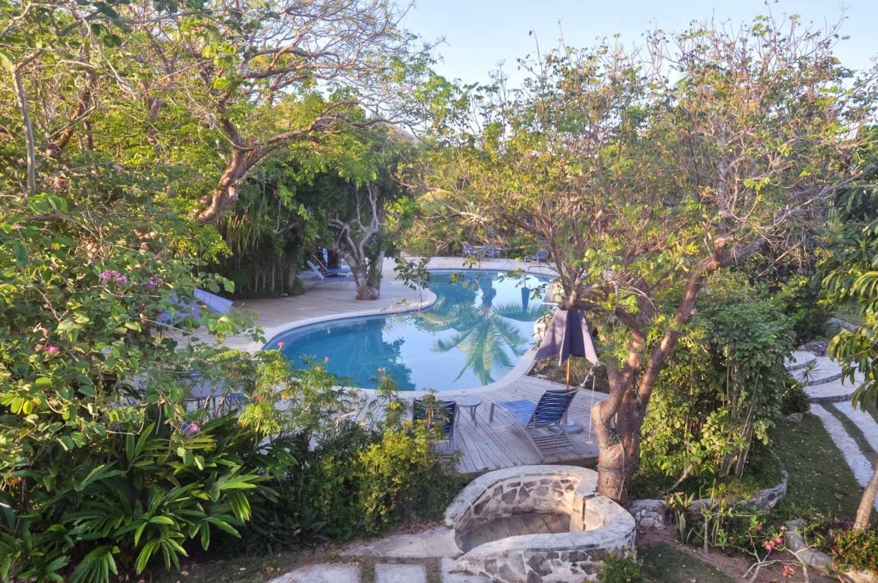 La piscine du Pineapple Fields