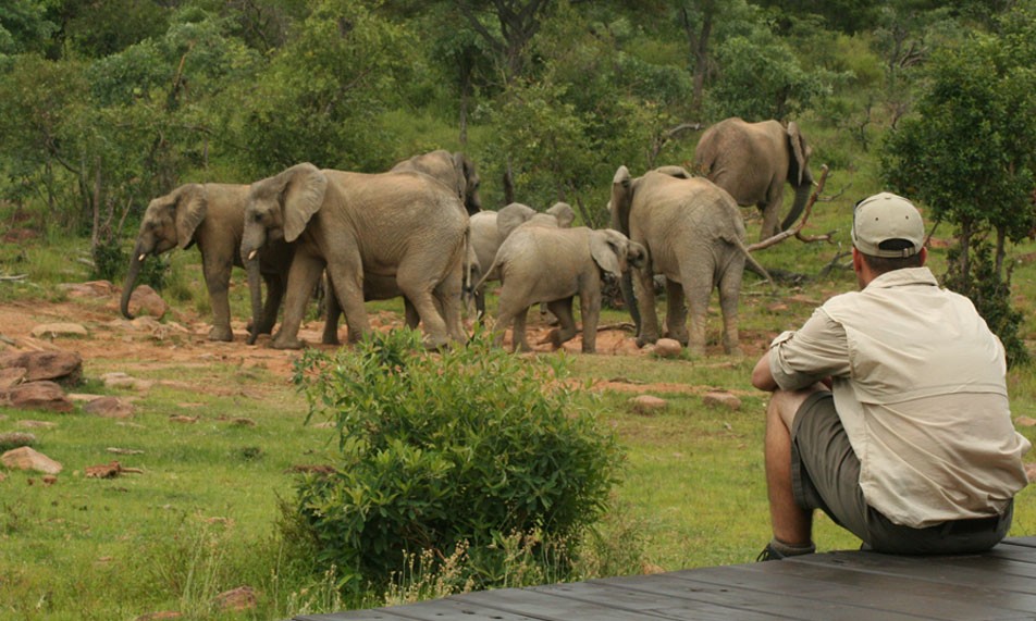 La pause Makweti - voyage en Afrique du Sud La pause Makweti - voyage en Afrique du Sud