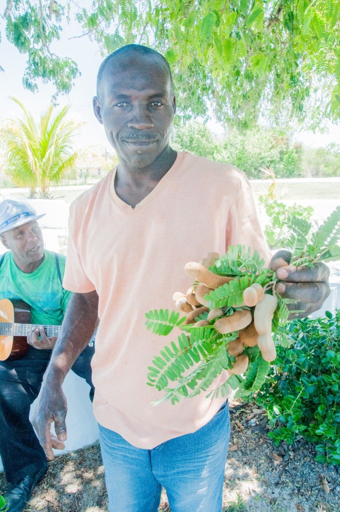 Voyage aux Bahamas : Arpenter Eleuthéra 3 Bahamas - richesses de la nature