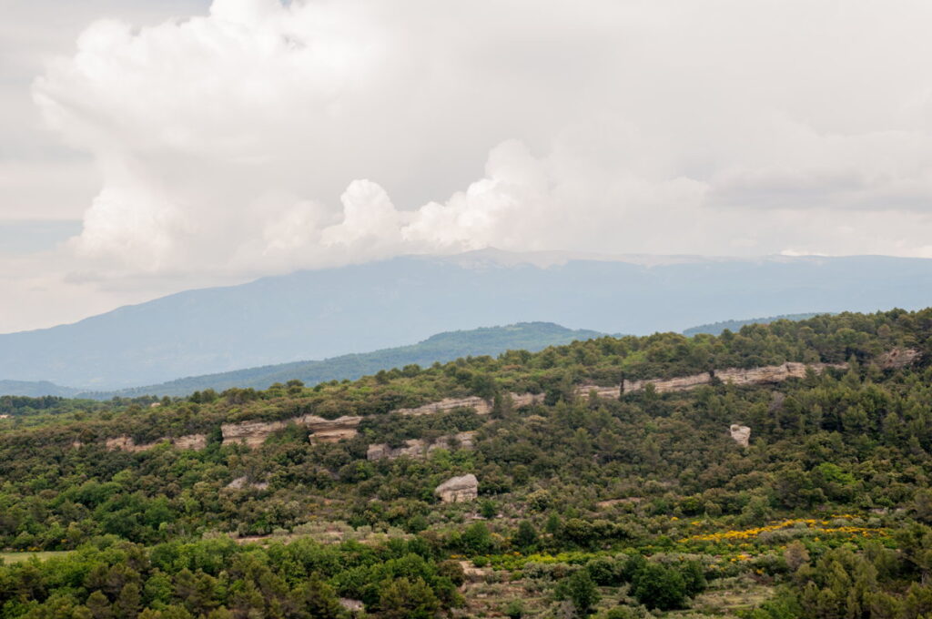 Paysage vallonnée