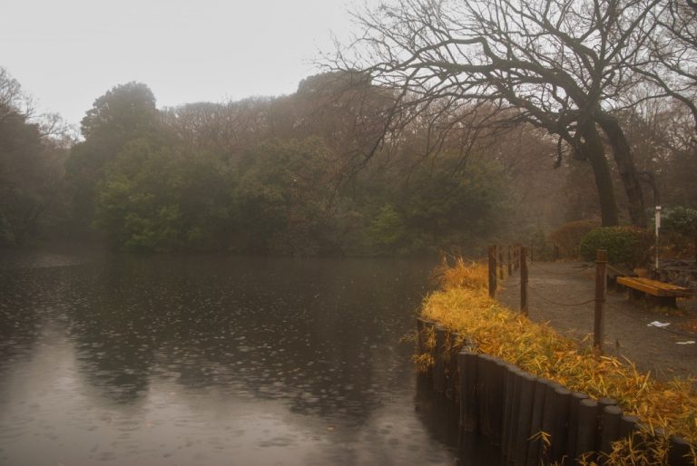 Lac impérial Tokyo Japon