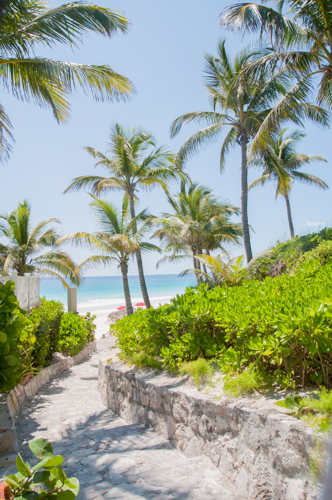 plage - Coral Sands Hotel - Bahamas