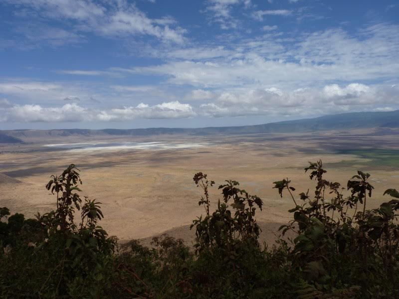 Mon voyage sur le cratère du Ngorongoro, en Tanzanie 2 Paysage du cratère du Ngorongoro en Tanzanie, vu depuis le bord de la caldeira