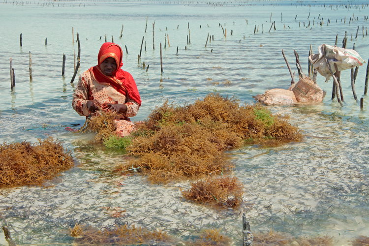 Voyage à Zanzibar -Stone Town - femmes travail