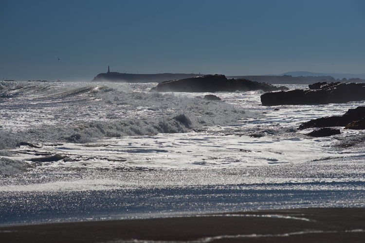 Grosses vagues écumantes à contre-jour, pointe rocheuse au loin