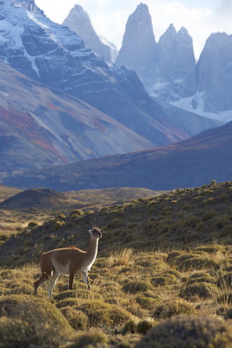 Les Torrès del Paine