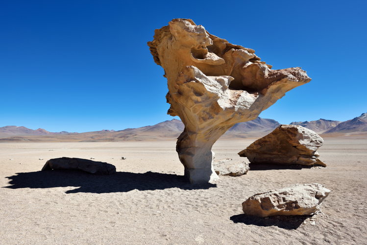 L'arbre de pierre, rocher sculpté par le vent dans le désert de Siloli, en Bolivie L'arbre de pierre, rocher sculpté par le vent dans le désert de Siloli, en Bolivie