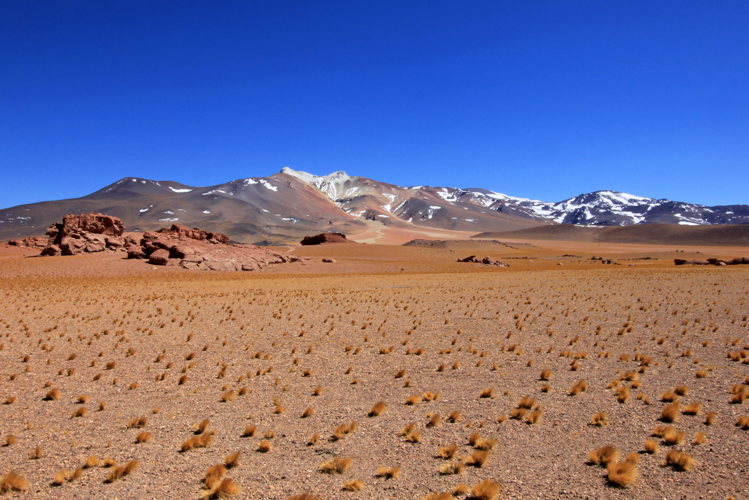 Plaine désertique et sommets andins enneigés sur l'altiplano bolivien Plaine désertique et sommets andins enneigés sur l'altiplano bolivien