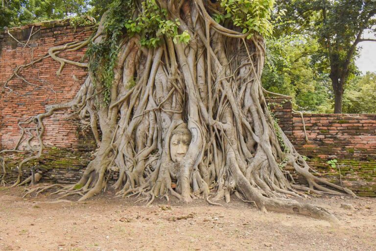 Ayuttaya