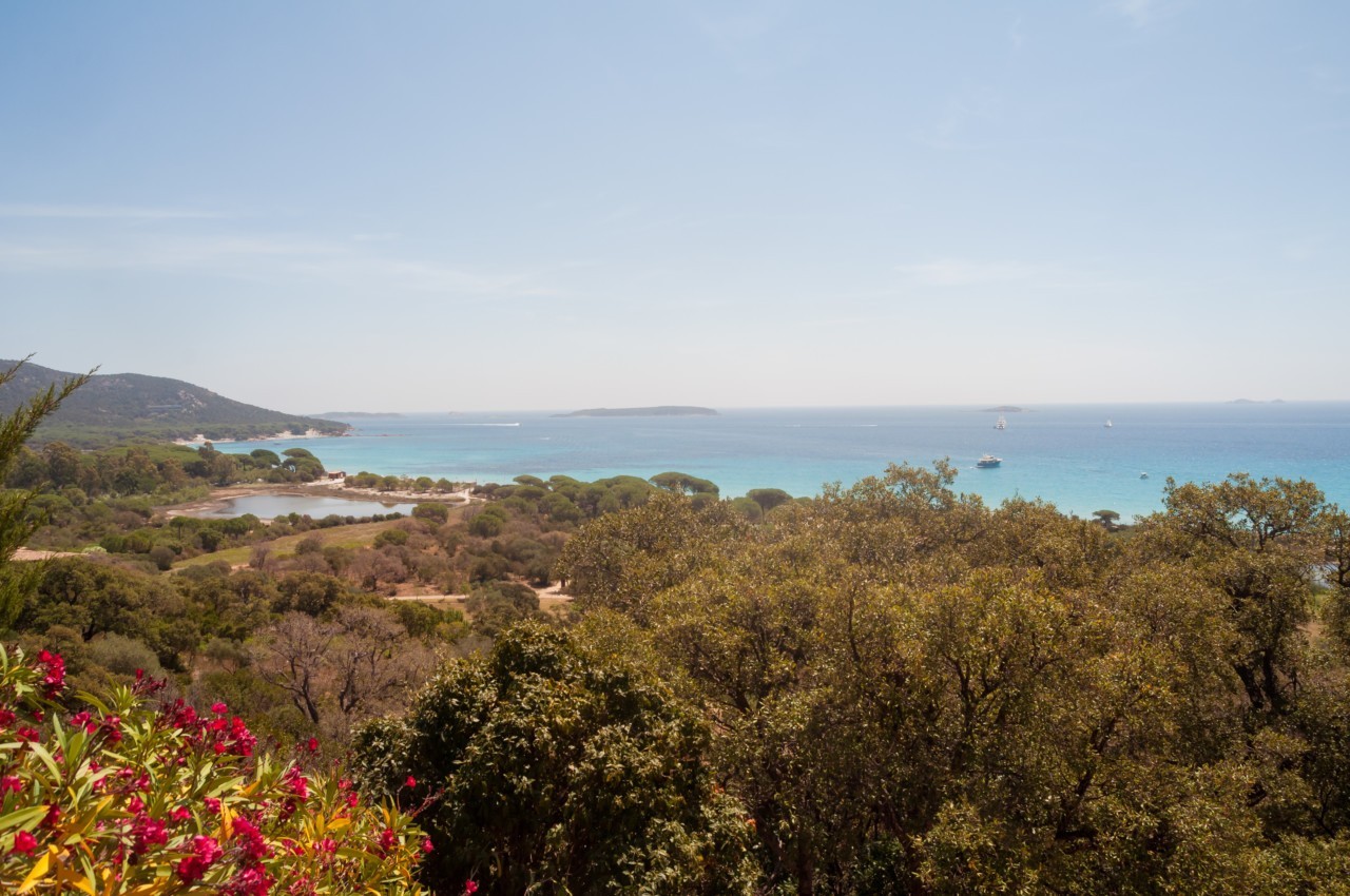 Voyage : Roadtrip en Corse du Sud