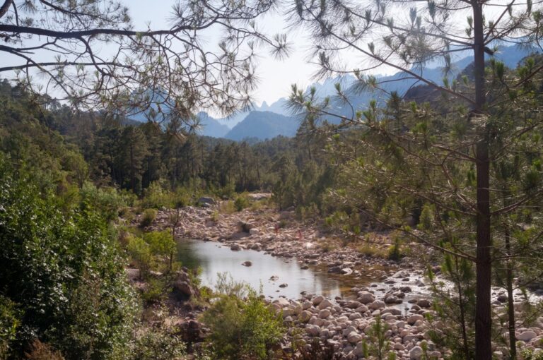 La rivière qui longe la route principale La rivière qui longe la route principale