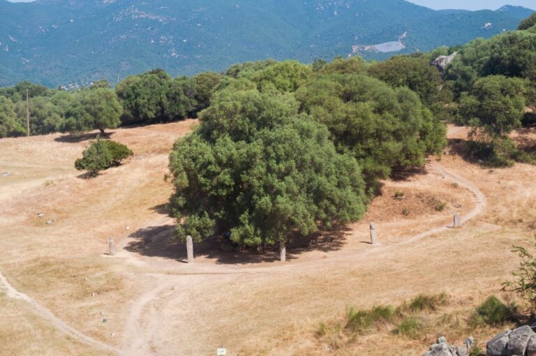 Sépulture, tombeaux ou lieux de prière... Beaucoup d'interrogations planent dans ce lieu Sépulture, tombeaux ou lieux de prière... Beaucoup d'interrogations planent dans ce lieu