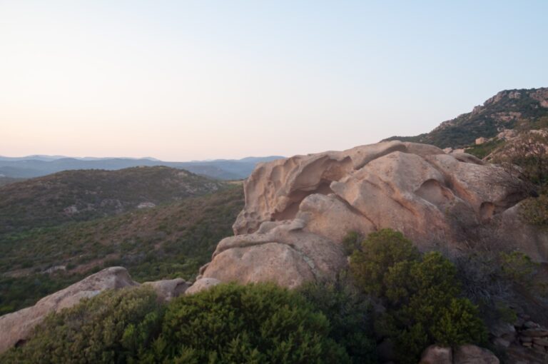 Balade tôt le matin dans le maquis corse Balade tôt le matin dans le maquis corse