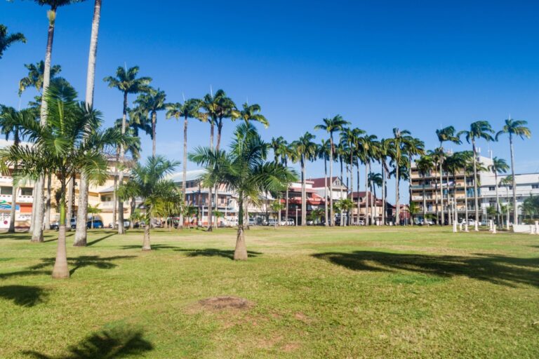 Place des Palmistes à Cayenne, Guyane française