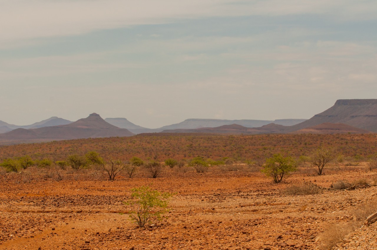 Mon roadtrip en Namibie : l'itinéraire de 15 jours que je recommande