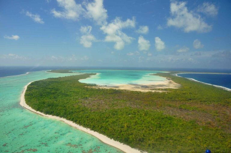 Végétation luxuriante à Bora Bora Végétation luxuriante à Bora Bora