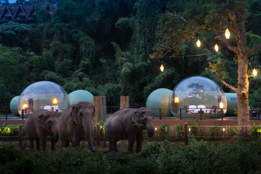 Bulles anantara éléphants bulles anantara thailande dans un camps d'éléphants