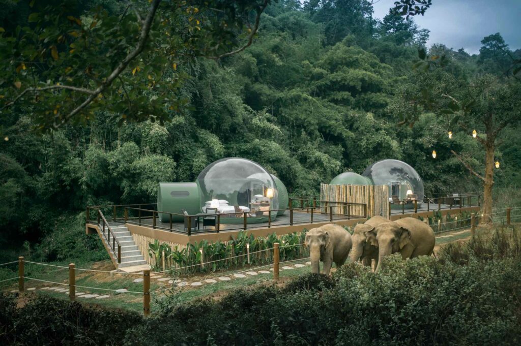 Bulles anantara nature Bulles anantara nature