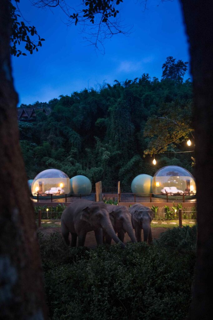 Observer la nature rejoindre le parc national des éléphants