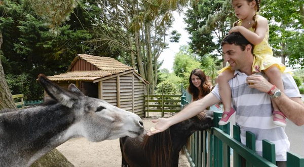 Un espace ferme avec des chevaux et des ânes au centre Pierre et Vacances