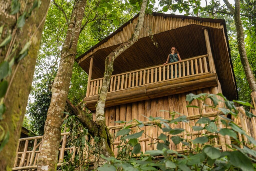 Le Buhoma Lodge, au cœur de la forêt impénétrable en Ouganda Le Buhoma Lodge, au cœur de la forêt impénétrable en Ouganda