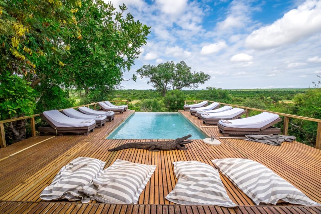 Un petit plongeon dans la piscine extérieure à Timbavati ? Un petit plongeon dans la piscine extérieure à Timbavati ?