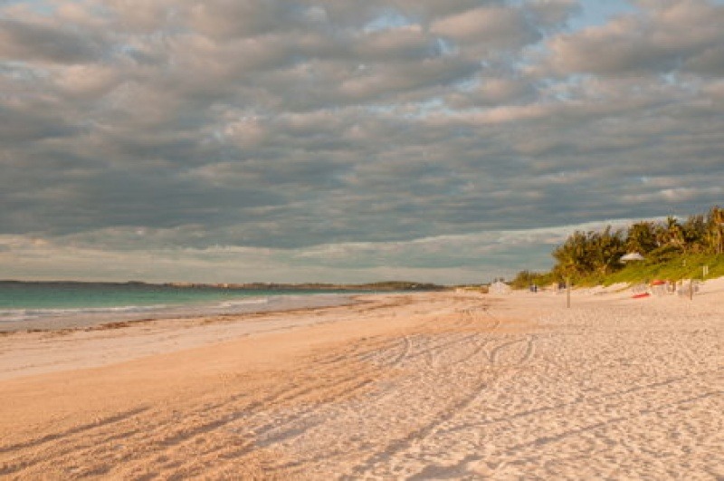 La plage de sable rose de Harbour Island
