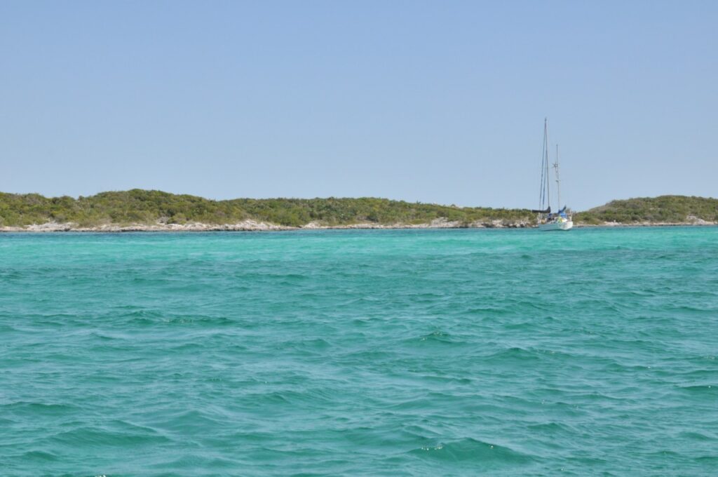 Iguana Island